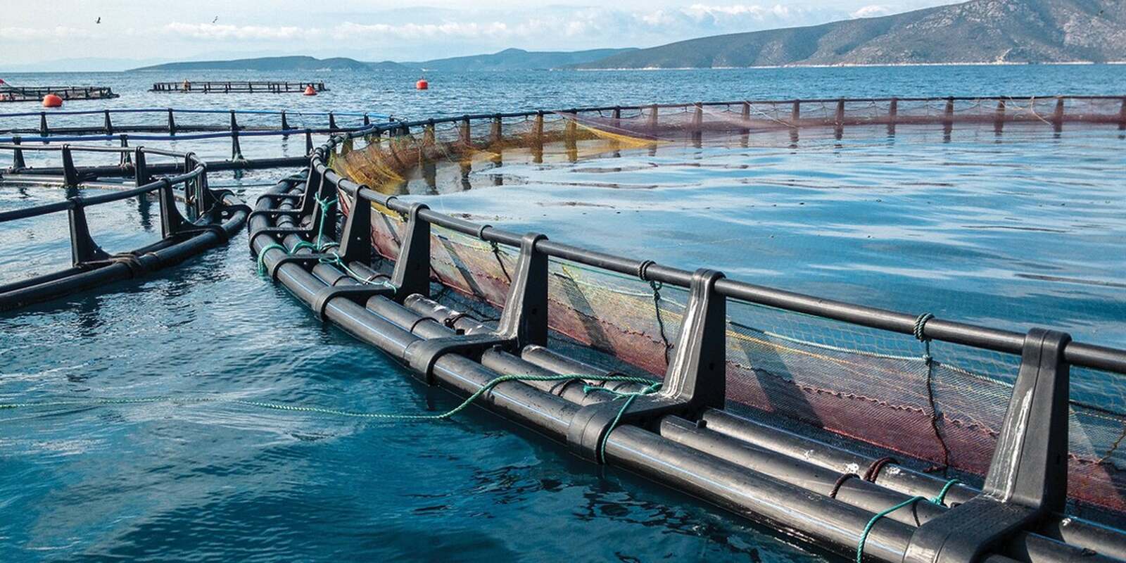 País investiu 120 milhões de dólares em projectos de aquacultura