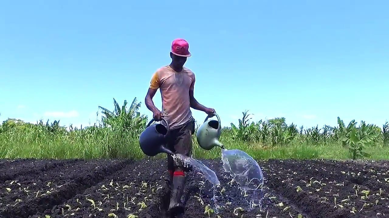 Moçambique abre uma linha de crédito de 11 milhões de dólares para empreendedores rurais