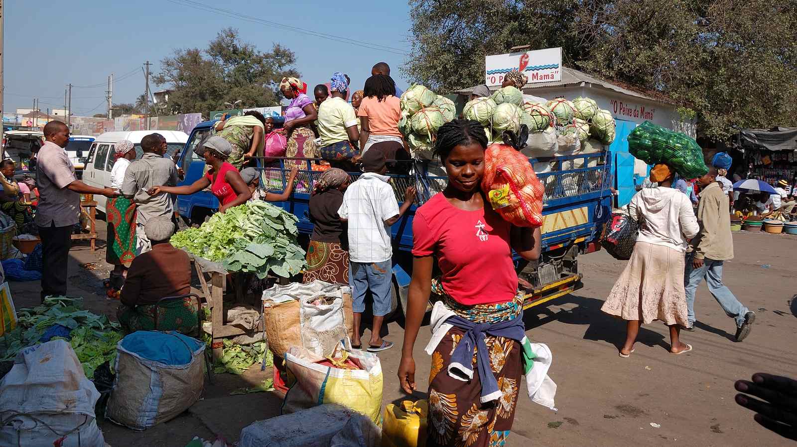 cMesmo antes do conflito, África estava condenada a um crescimento negativo