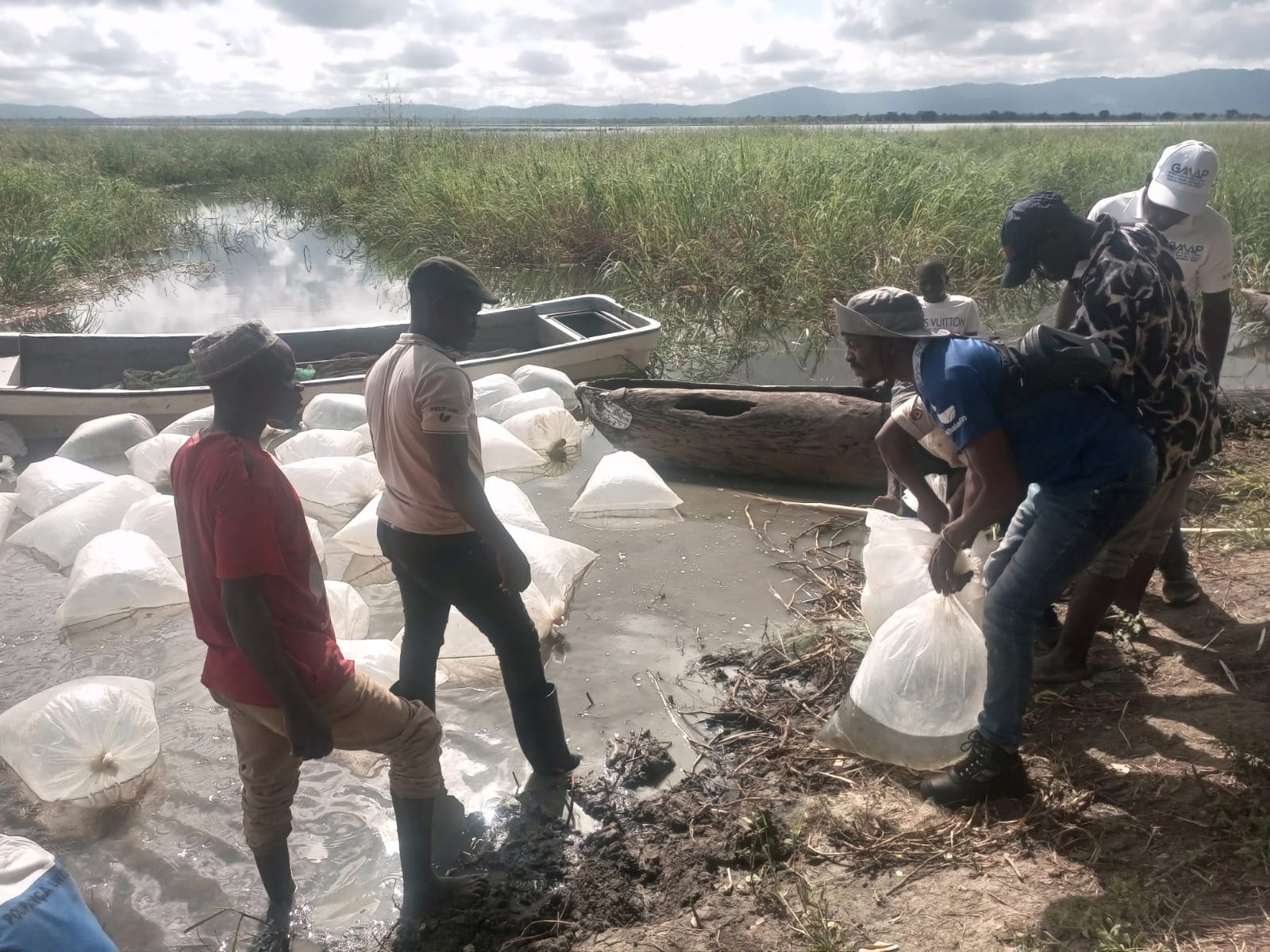 Niassa aposta na aquacultura para segurança alimentar