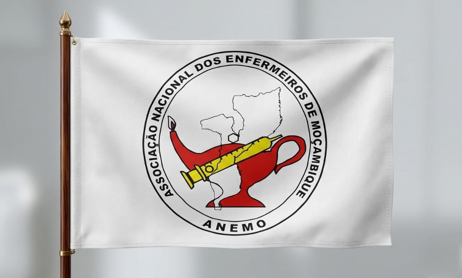 Nova líder assume direcção dos enfermeiros em Maputo