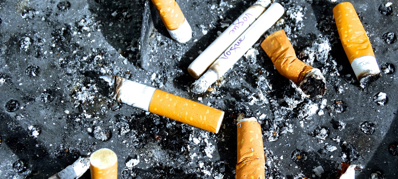 Mais de nove mil moçambicanos perdem a vida anualmente por causa do tabaco