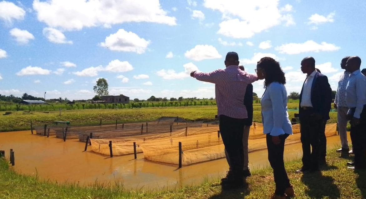 Investidos USD 120 milhões em projectos de aquacultura