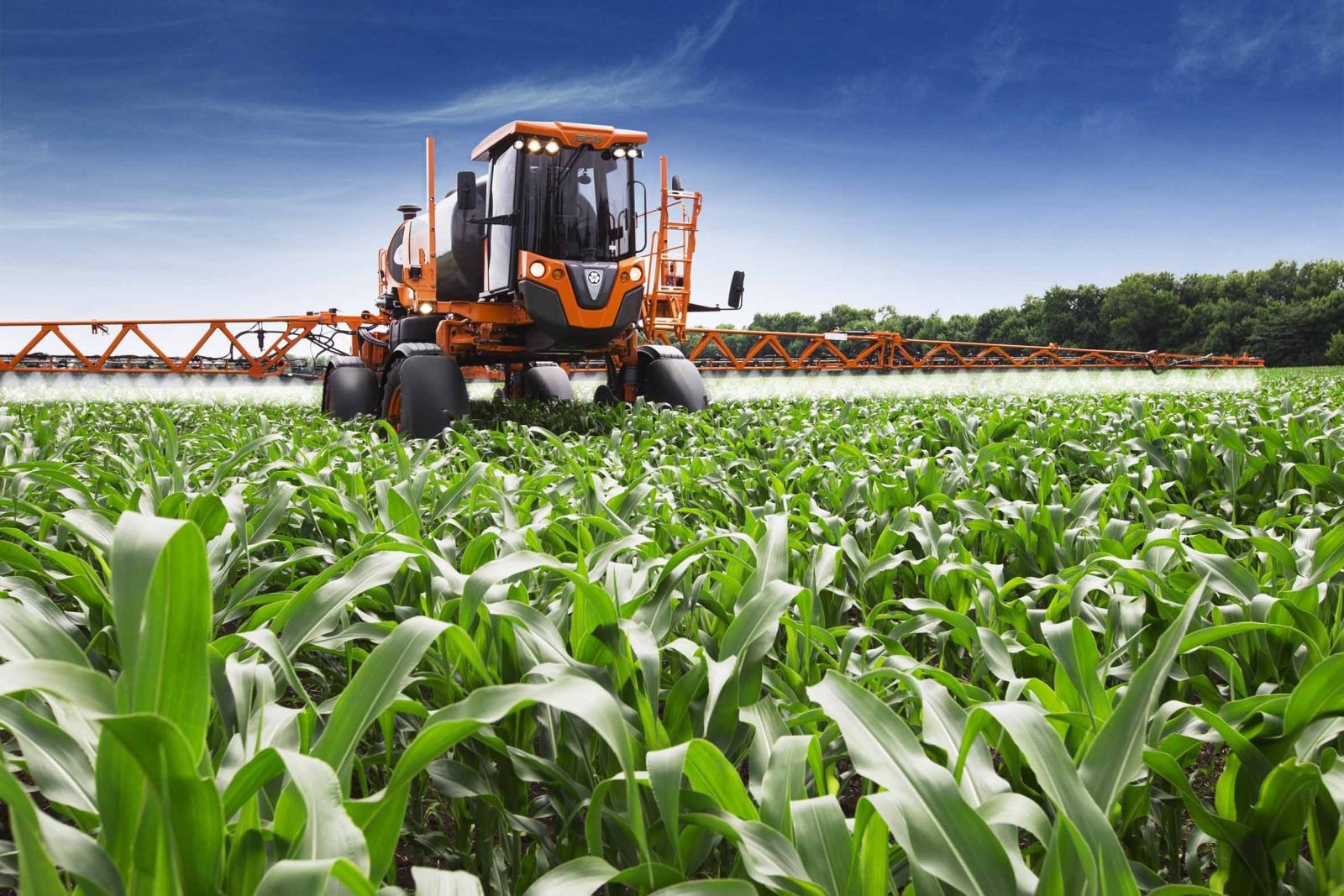 Governo mobiliza 250 milhões de dólares para financiamento de produção agrícola