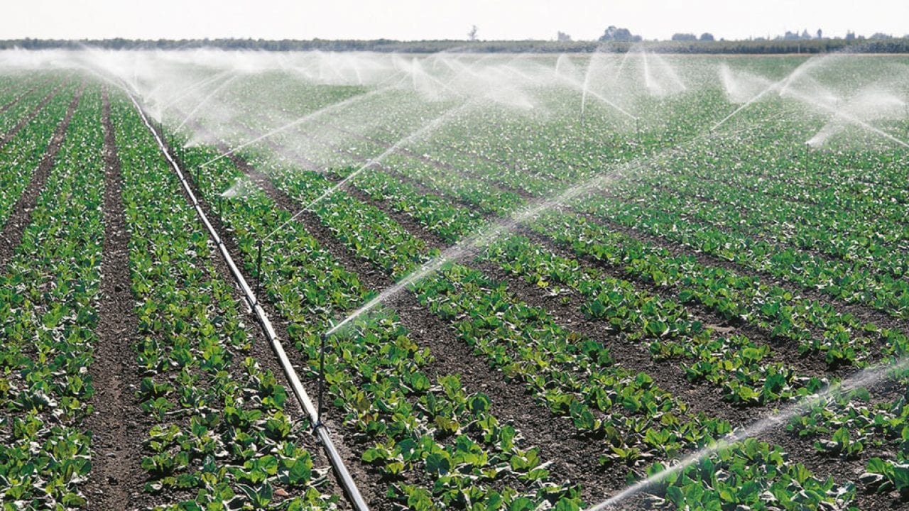 Moçambique defende gestão científica dos solos para o alcance de uma agricultura sustentável
