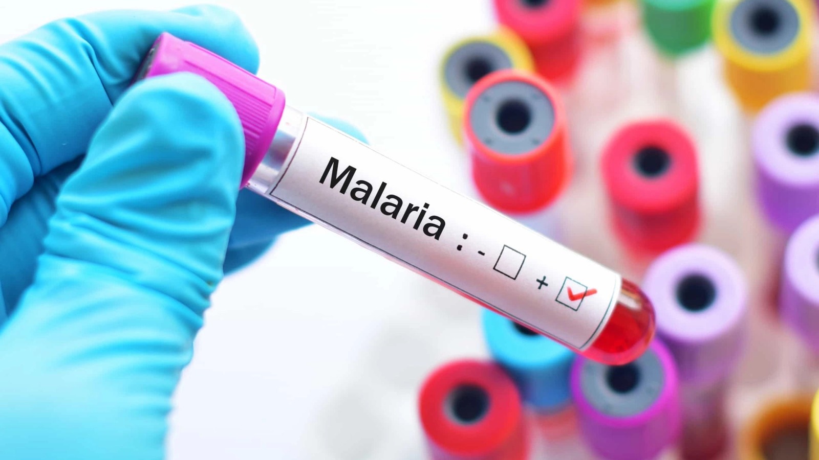 Reduz em 40% casos de malária em Maputo
