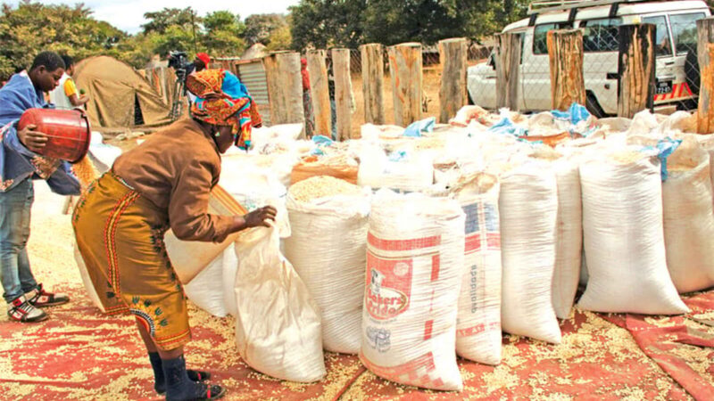 Moçambique prevê comercializar 14,6 milhões de toneladas de produtos agrícolas na campanha 2026