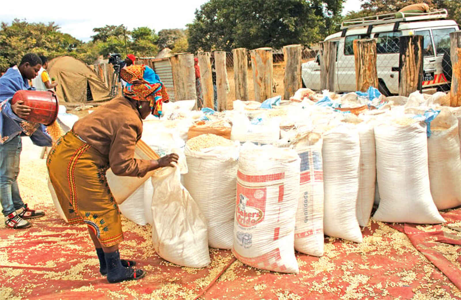 Moçambique prevê comercializar 14,6 milhões de toneladas de produtos agrícolas na campanha 2026