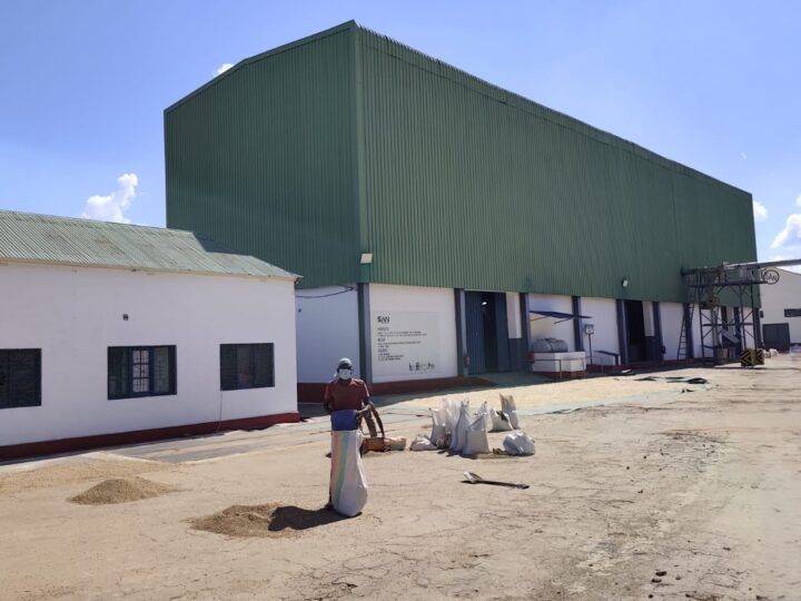Mais empreendimentos de agroprocessamento para Cuamba