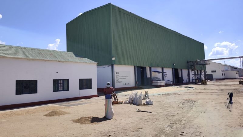 Mais empreendimentos de agroprocessamento para Cuamba