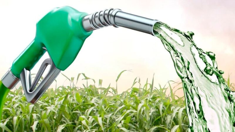 Governo apresenta quadro regulatório de biocombustível para iniciativas empresariais