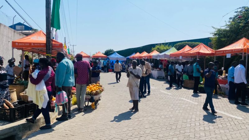 Mais de 150 expositores participam hoje na Feira de Tete