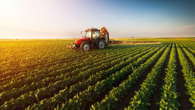Governo italiano mobiliza 50 milhões de euros para impulsionar cadeia agro-alimentar em África
