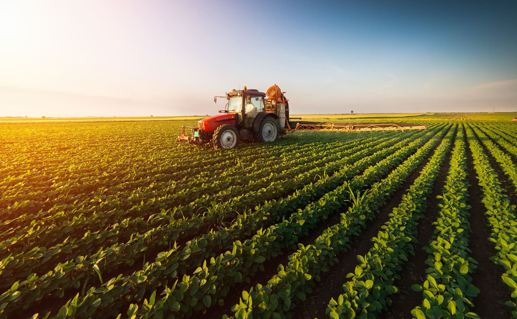 Governo italiano mobiliza 50 milhões de euros para impulsionar cadeia agro-alimentar em África