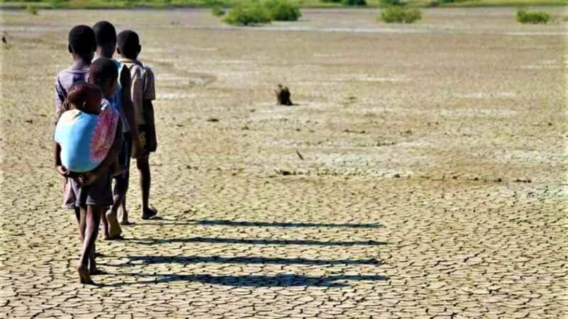 El Niño pode atingir um dos níveis mais elevados desde 1950