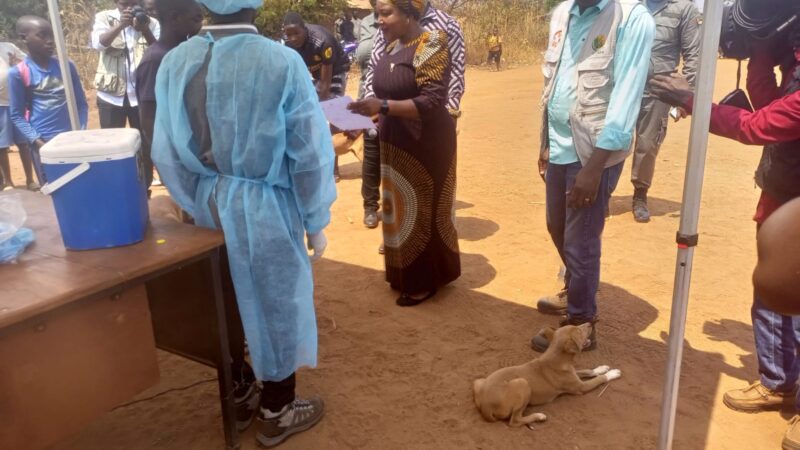 Niassa regista cinco mortes por raiva
