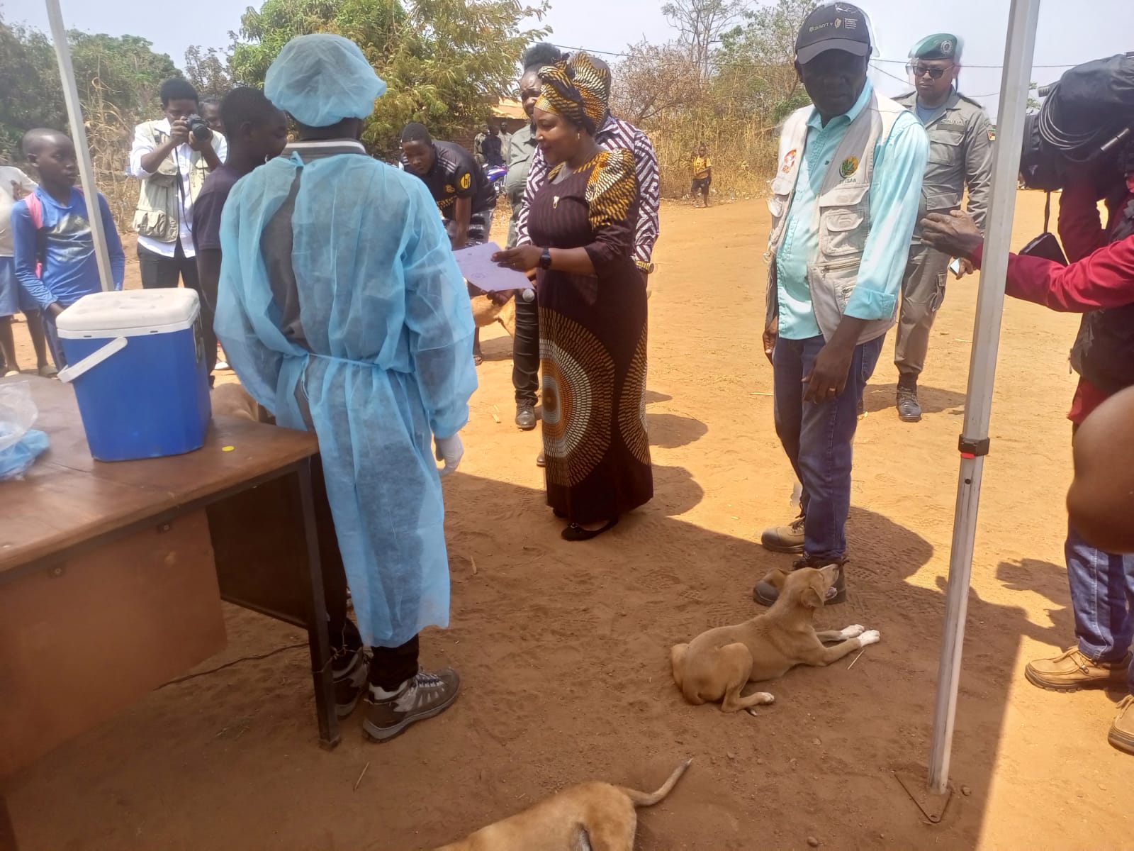 Niassa regista cinco mortes por raiva