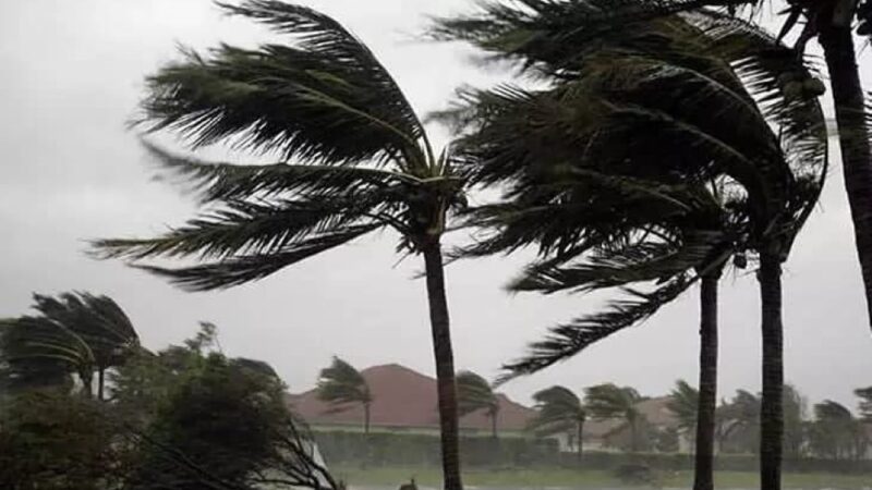 Sistema de baixas pressões evolui para Tempestade Tropical